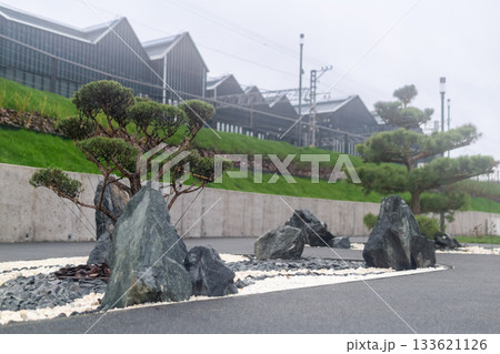 oriental garden with a lot of bonsai trees in the city 133621126