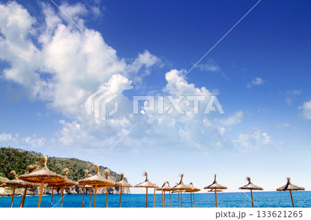 Camp de Mar in Andratx from Mallorca balearic island 133621265