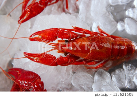 seafood in market over ice 133621509