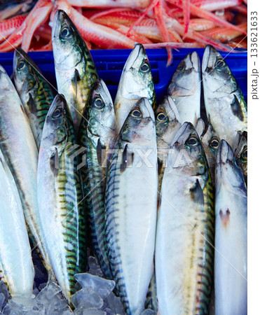 Mackerel fish from mediterranean stacked 133621633