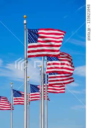 Washington Monument flags circle in DC USA Washington Monument flags circle in DC USA 133621648