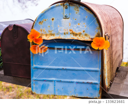 California poppy grunge mailboxes along Pacific Highway Route 1 133621681