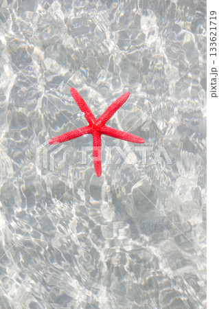 floating red starfish in white sand beach floating red starfish in white sand beach 133621719