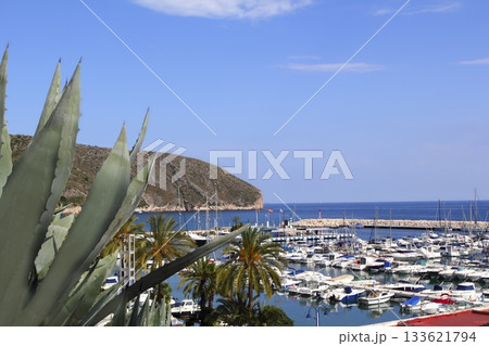 Moraira marina port view from agave Moraira marina port view from agave 133621794