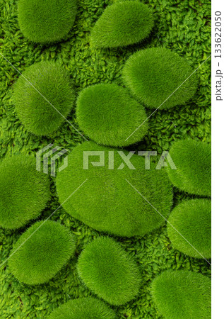 green background of moss-covered stones 133622050
