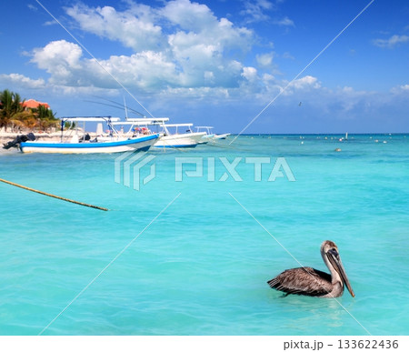 Puerto Morelos beach Mayan riviera Caribbean sea Puerto Morelos beach Mayan riviera Caribbean sea 133622436