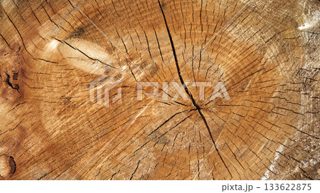 Wood Textured Background 133622875