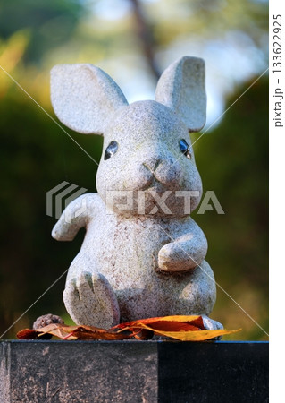 かわいい出雲大社のウサギ 133622925