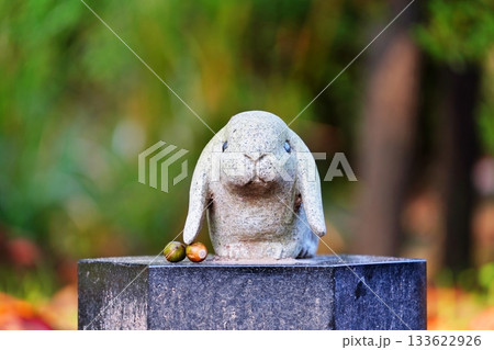 かわいい出雲大社のうさぎ 133622926