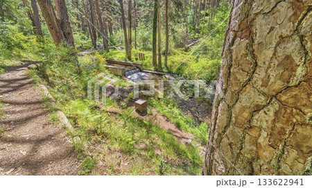Azud del Acueducto Hiking Route, Sierra de Guadarrama National Park, Spain 133622941