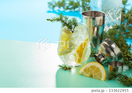 Gin and tonic cocktail with crushed ice and lemon slices. Gin and tonic cocktail with crushed ice and lemon slices. 133622955
