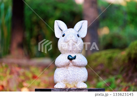 かわいい出雲大社のウサギ 133623145