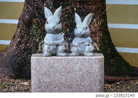 出雲大社のうさぎ 133623149
