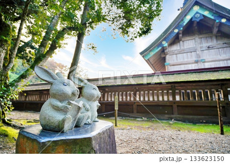 出雲大社の風景 133623150