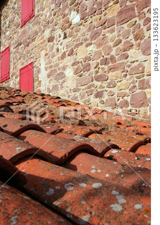 Architectural grunge aged roof clay tiles 133623195