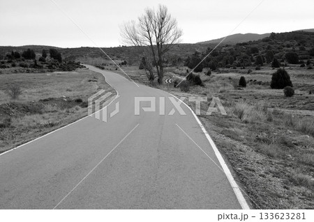 Lonely black and white landscape Lonely black and white landscape 133623281