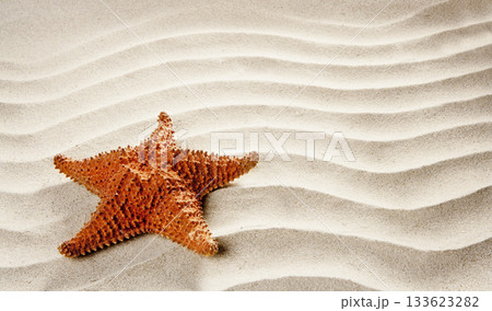 beach white wavy sand starfish summer vacation 133623282