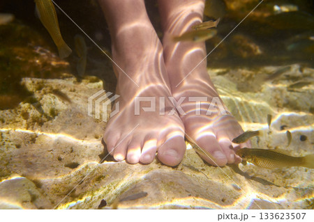 Cenotes Mexico fishes suck feet dead skin Cenotes Mexico fishes suck feet dead skin 133623507