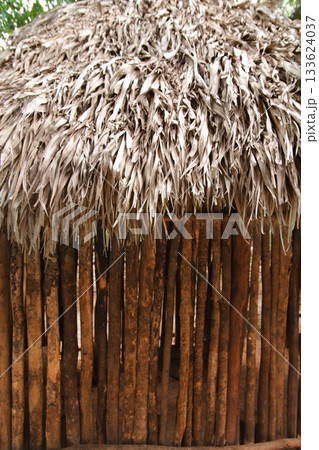 Hut palapa mexican jungle Mayan house roof wall Hut palapa mexican jungle Mayan house roof wall 133624037