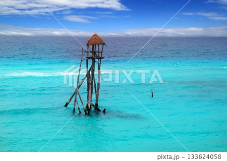 Caribbean zip line tyrolean turquoise sea Caribbean zip line tyrolean turquoise sea 133624058