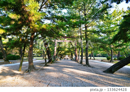 出雲大社　松の参道 133624428