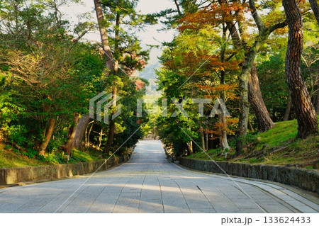 出雲大社の下り参道 133624433