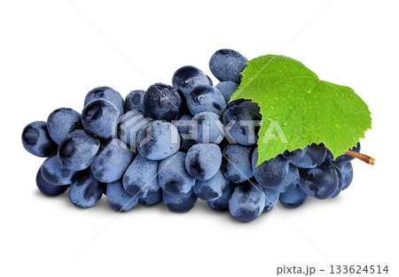 dark blue grape berry bunch isolated on white background dark blue grape berry bunch isolated on white background 133624514