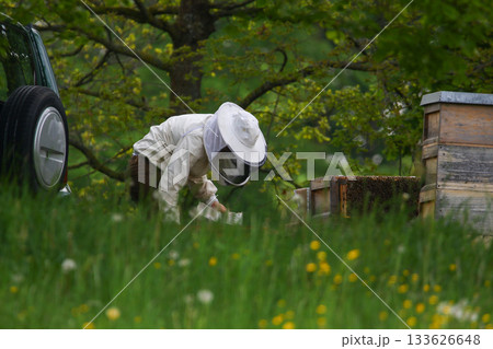 Beekeeper in Protective Suit Checking Hive with Smoker in Spring Field 133626648