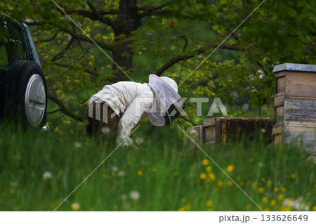 Beekeeper in Protective Suit Checking Hive with Smoker in Spring Field 133626649