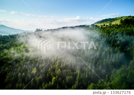 Aerial view. Sunlight filters through mist, casting long shadows over dense forest below. Hills in distance add depth to scene, creating serene and mystical atmosphere as clouds roll over landscape. Aerial view. Sunlight filters through mist, casting long shadows over dense forest below. Hills in distance add depth to scene, creating serene and mystical atmosphere as clouds roll over landscape. 133627178