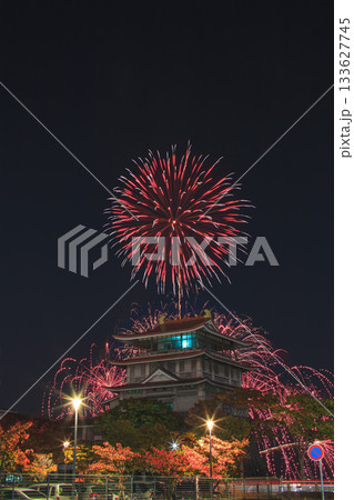 びわ湖秋花火 琵琶湖文化館 133627745