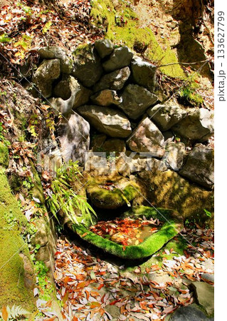 宇宙エネルギーが降注ぎ京の都の鬼門を護る… 鞍馬寺『息つぎの水』 133627799