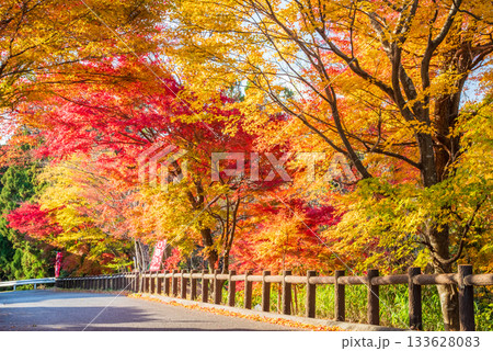 水沢もみじ谷の紅葉《三重県 四日市市》 133628083