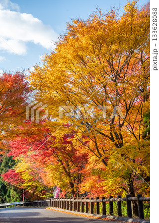 水沢もみじ谷の紅葉《三重県 四日市市》 水沢もみじ谷の紅葉《三重県 四日市市》 133628088