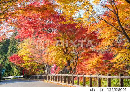 水沢もみじ谷の紅葉《三重県 四日市市》 水沢もみじ谷の紅葉《三重県 四日市市》 133628091