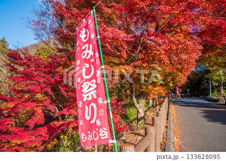 水沢もみじ谷の紅葉《三重県 四日市市》 133628095