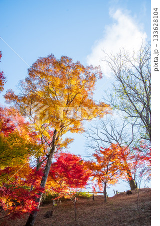 水沢もみじ谷の紅葉《三重県 四日市市》 133628104