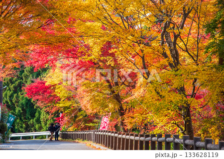 水沢もみじ谷の紅葉《三重県 四日市市》 水沢もみじ谷の紅葉《三重県 四日市市》 133628119