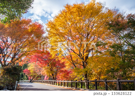 水沢もみじ谷の紅葉《三重県 四日市市》 水沢もみじ谷の紅葉《三重県 四日市市》 133628122