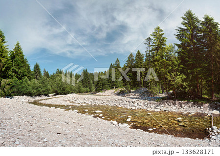 Shallow river flowing in forest, sun shines on round stones and trees at both sides 133628171
