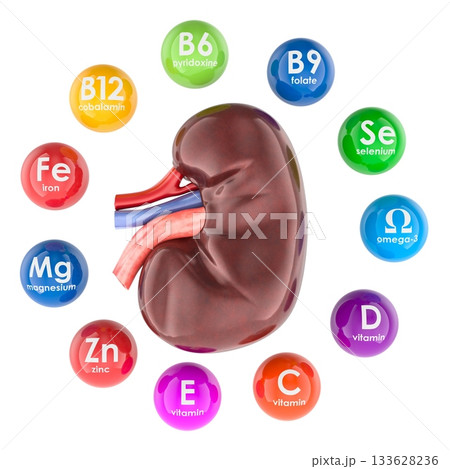 Human kidney with vitamins and minerals essential for renal health. 3D rendering 133628236