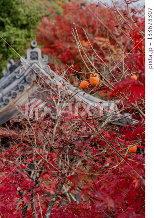 秋の寂光院境内の景色 秋の寂光院境内の景色 133628307