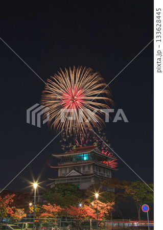 びわ湖秋花火 琵琶湖文化館 133628445