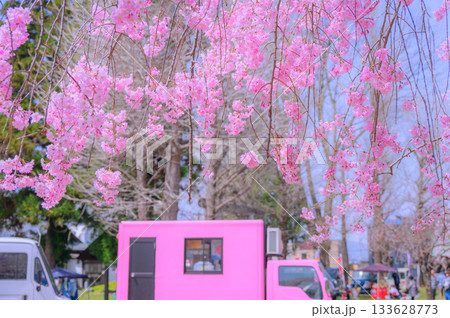 キッチンカーと桜【諏訪高島城】 133628773