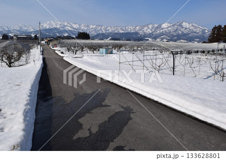 豪雪地方の道路 山形県 133628801