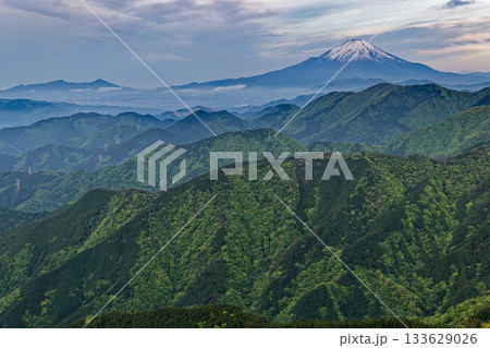 丹沢表尾根・三ノ塔から見る朝の富士山と新緑の山並み 133629026