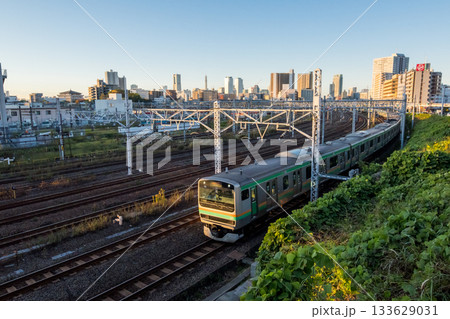 【湘南新宿ライン】早朝の東京方面へ向かう列車 【湘南新宿ライン】早朝の東京方面へ向かう列車 133629031