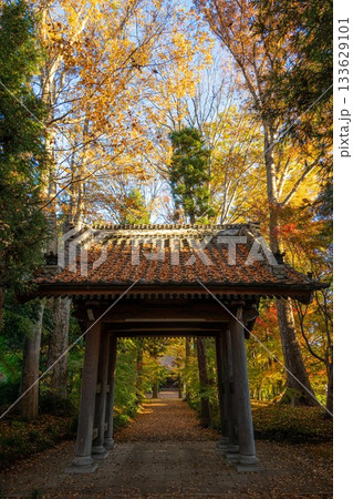 茨城県筑西市 最勝寺の紅葉 茨城県筑西市 最勝寺の紅葉 133629101
