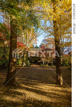 茨城県筑西市　最勝寺の紅葉 133629126