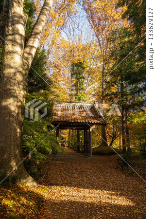 茨城県筑西市　最勝寺の紅葉 133629127